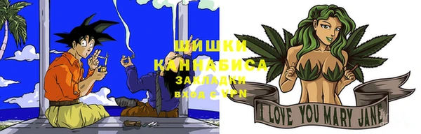 ПСИЛОЦИБИНОВЫЕ ГРИБЫ Белоозёрский
