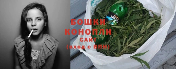 ПСИЛОЦИБИНОВЫЕ ГРИБЫ Белоозёрский