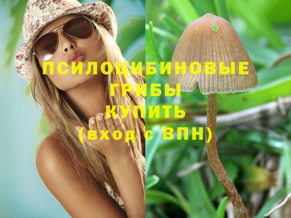 синтетический гашиш Белокуриха