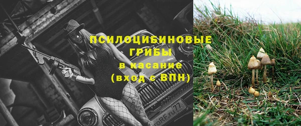 ПСИЛОЦИБИНОВЫЕ ГРИБЫ Белоозёрский