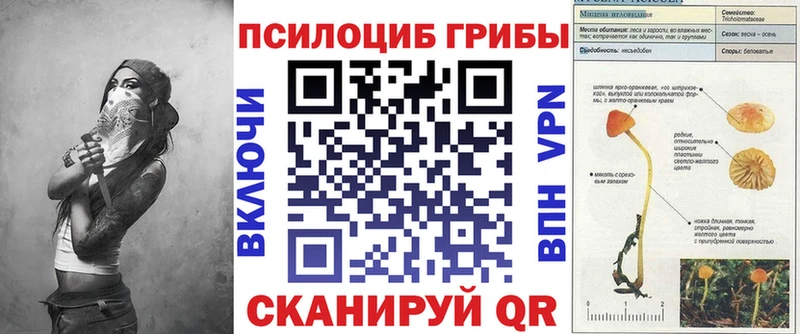 Галлюциногенные грибы мухоморы  mega маркетплейс  Гороховец 