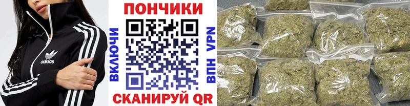 Шишки марихуана планчик Гороховец